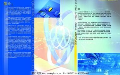軟件開發(fā) 從概念到成品的藝術與工程